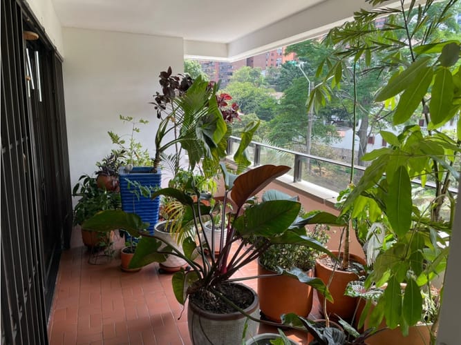Apartamento de 4 alcobas en venta en Santa Teresita, Cali, 235 m² · foto 12 de 21