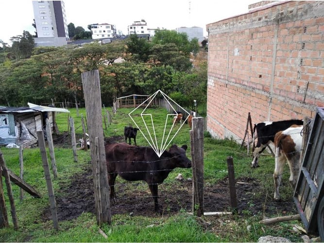 Lote en venta en El Carmen De Viboral, El Carmen de Viboral, 350 m² · foto 5 de 5