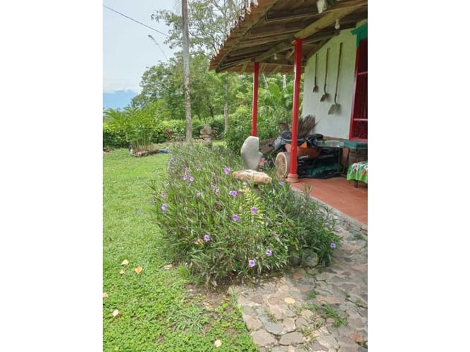 Finca en venta en Pescadero, Medellín, 6000 m² · foto 4 de 14