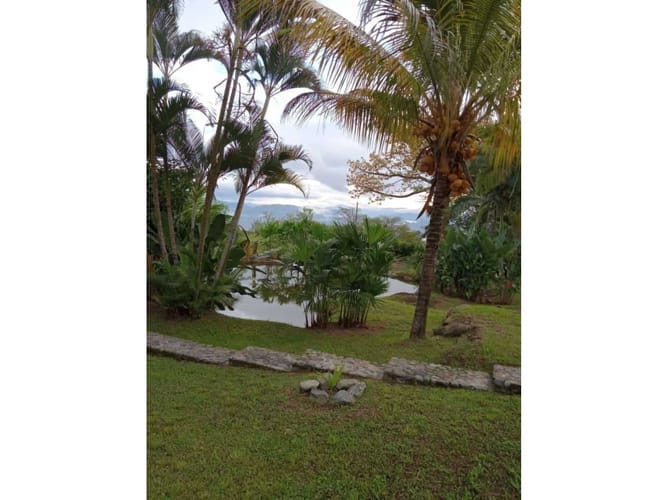 Finca en venta en Pescadero, Medellín, 6000 m² · foto 5 de 14