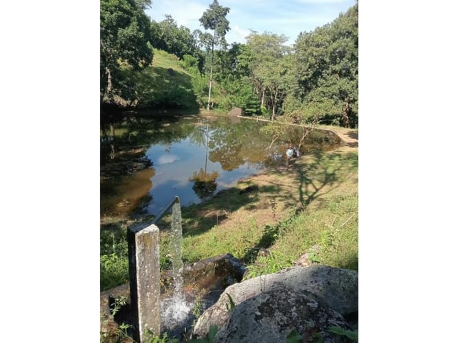 Finca en venta en Pescadero, Medellín, 6000 m² · foto 6 de 14