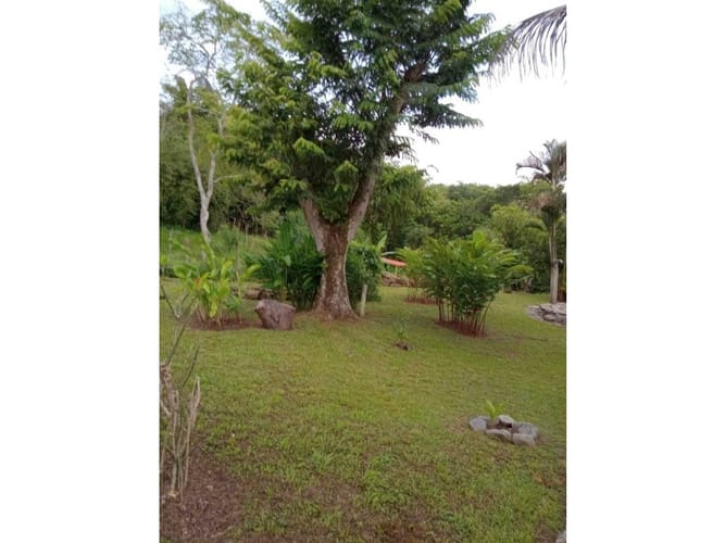 Finca en venta en Pescadero, Medellín, 6000 m² · foto 10 de 14