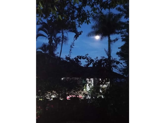 Finca en venta en Pescadero, Medellín, 6000 m² · foto 13 de 14