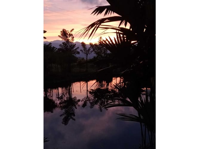 Finca en venta en Pescadero, Medellín, 6000 m² · foto 14 de 14