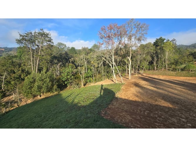 Lote en venta en Romeral, Guarne, 2569 m² · foto 13 de 21