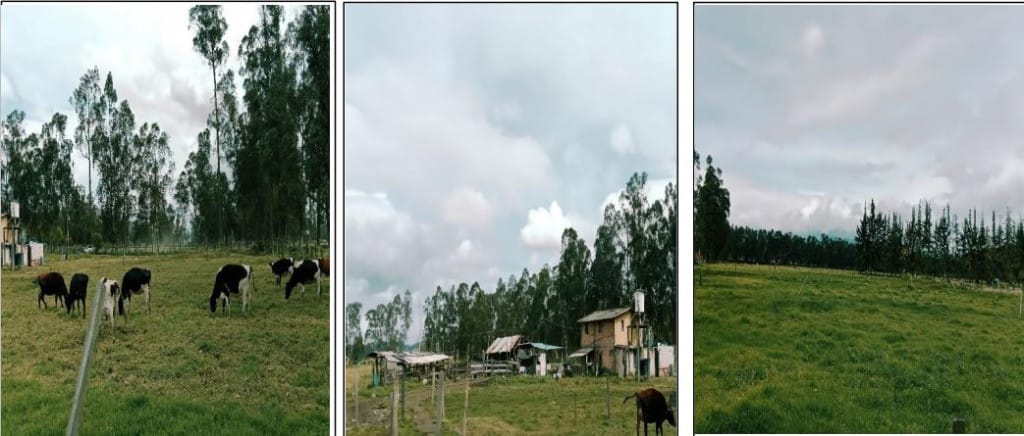 Lote en venta en Porvenir, Soacha, 91 m² · foto 2 de 4