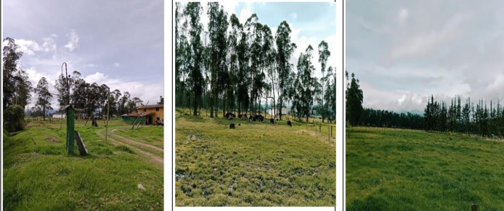 Lote en venta en Porvenir, Soacha, 91 m² · foto 3 de 4