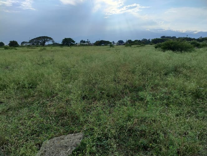 Lote en venta en El Carmelo, Candelaria, 55000 m² · foto 4 de 8