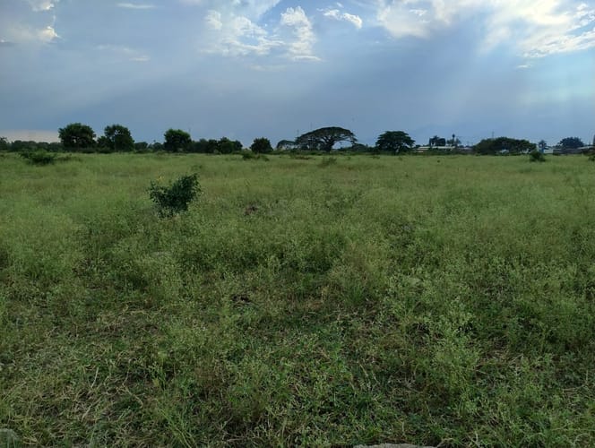 Lote en venta en El Carmelo, Candelaria, 55000 m² · foto 5 de 8