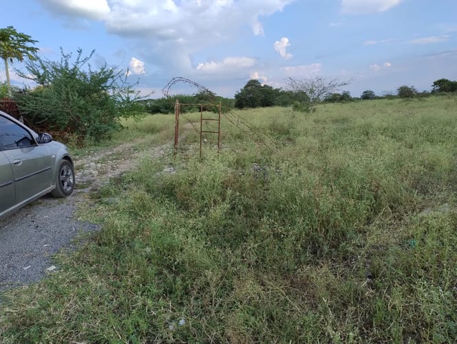 Lote en venta en El Carmelo, Candelaria, 55000 m² · foto 7 de 8