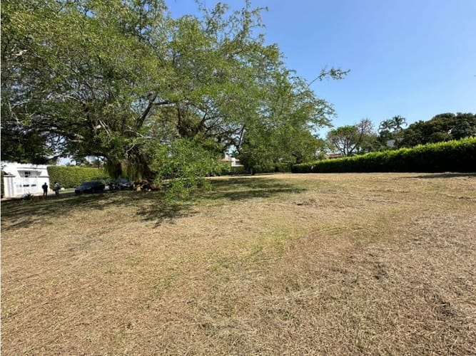 Lote en venta en Pance, Cali, 1500 m² · foto 4 de 5