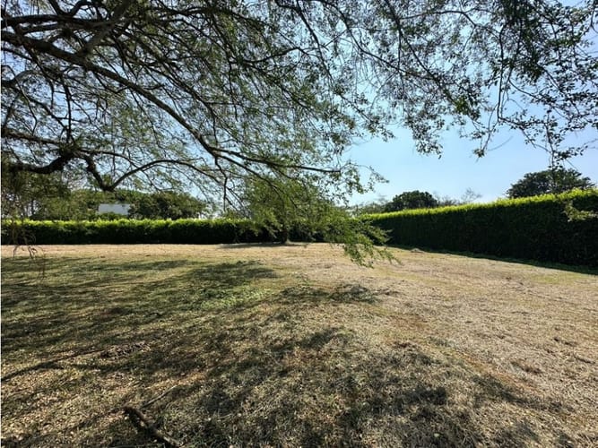 Lote en venta en Pance, Cali, 1500 m² · foto 5 de 5