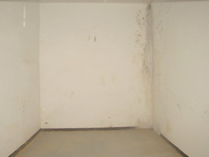 Bodega en arriendo en Alarcon, Bucaramanga, 350 m² · foto 4 de 8