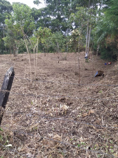 Lote en venta en Galicia, Rionegro, 16660 m² · foto 2 de 6