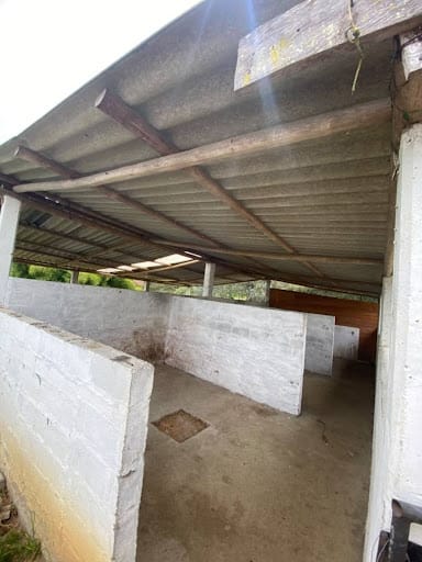 Finca en arriendo en San Jose, Guarne, 230 m² · foto 7 de 19