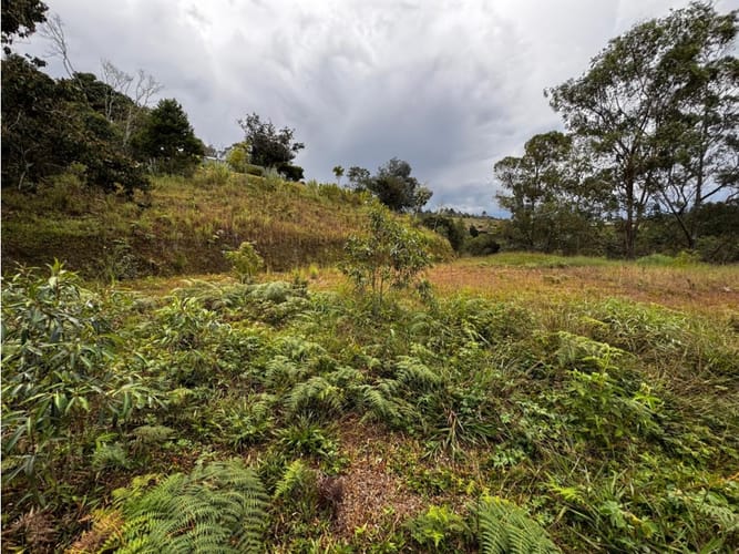 Lote en venta en La Quiebra, Rionegro, 17297 m² · foto 4 de 17