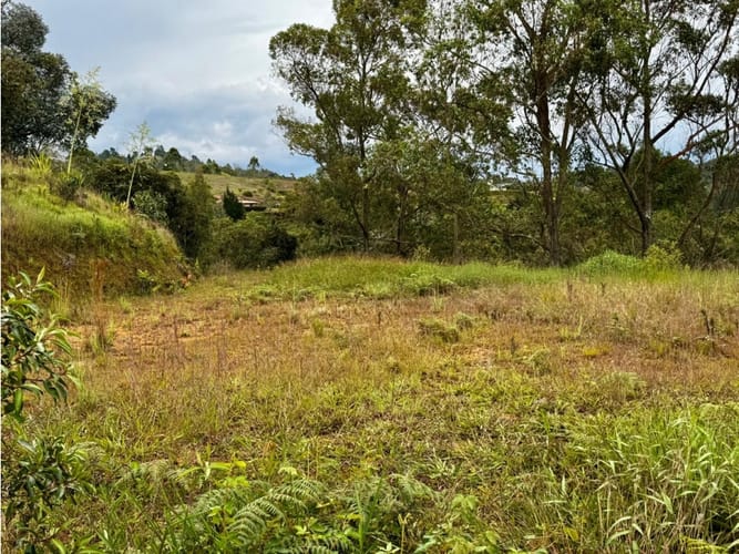 Lote en venta en La Quiebra, Rionegro, 17297 m² · foto 8 de 17
