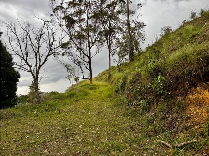 Lote en venta en La Quiebra, Rionegro, 17297 m² · foto 11 de 17