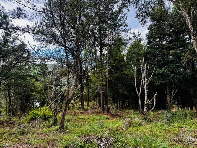 Lote en venta en La Quiebra, Rionegro, 17297 m² · foto 12 de 17