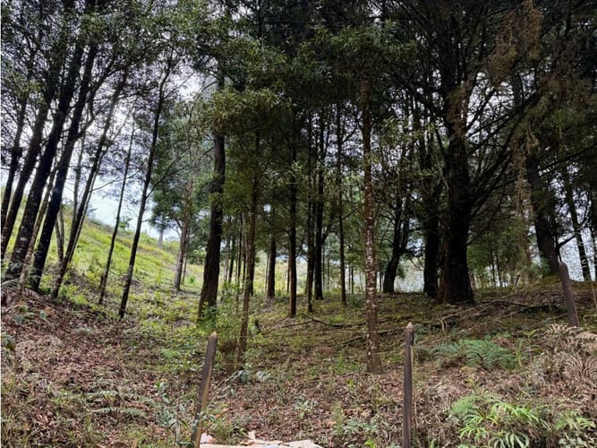 Lote en venta en La Quiebra, Rionegro, 17297 m² · foto 14 de 17
