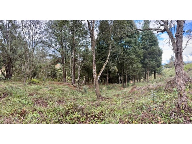 Lote en venta en La Quiebra, Rionegro, 17297 m² · foto 15 de 17