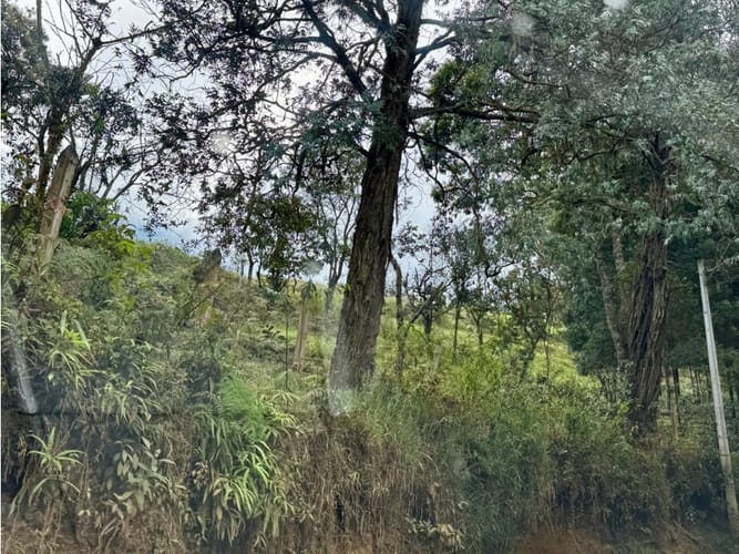 Lote en venta en La Quiebra, Rionegro, 17297 m² · foto 16 de 17
