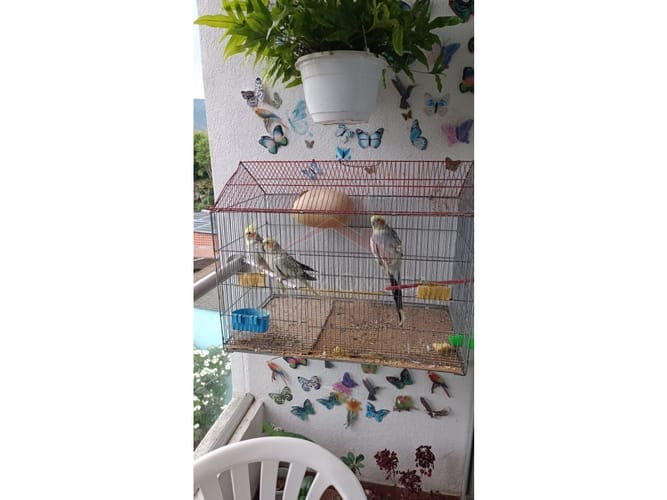 Apartamento de 3 alcobas en venta en Jordan, Ibagué, 68 m² · foto 3 de 17