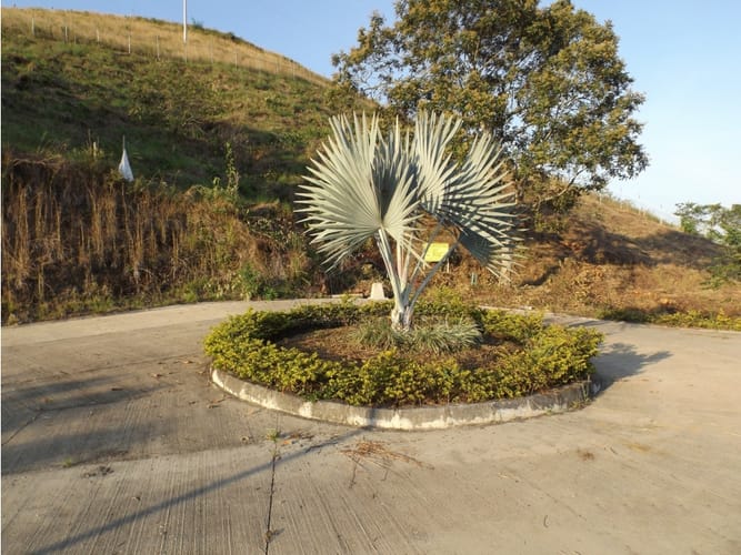 Casa de 4 alcobas en venta en El Totumo, Ibagué, 463 m² · foto 18 de 24