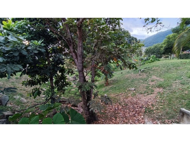 Lote en venta en Cerro Azul Del Vergel, Ibagué, 98 m² · foto 5 de 13