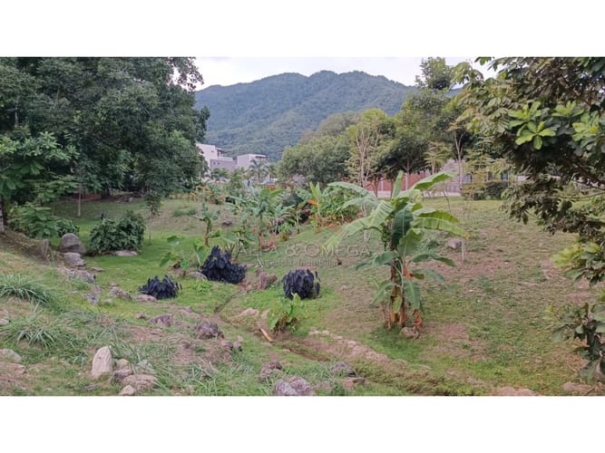 Lote en venta en Cerro Azul Del Vergel, Ibagué, 98 m² · foto 7 de 13