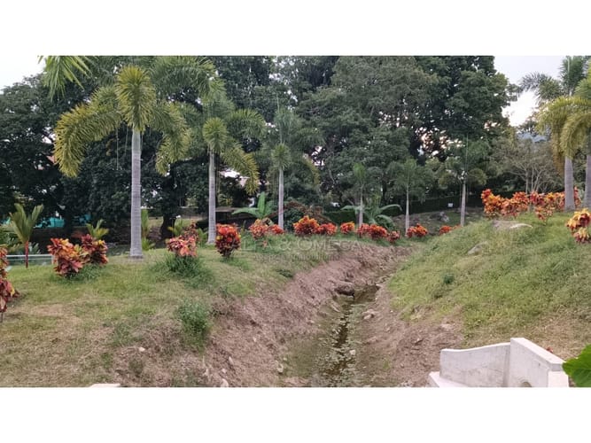 Lote en venta en Cerro Azul Del Vergel, Ibagué, 98 m² · foto 9 de 13