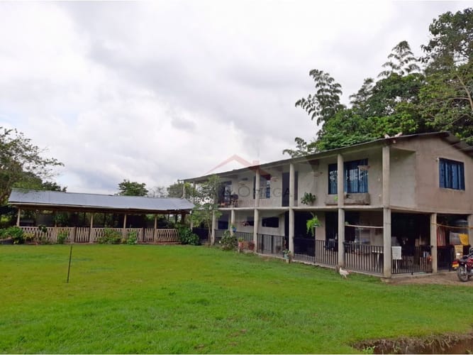 Casa de 4 alcobas en venta en La Esperanza, Ibagué, 250 m² · foto 3 de 24