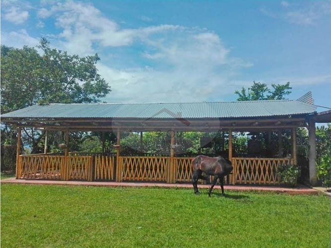 Casa de 4 alcobas en venta en La Esperanza, Ibagué, 250 m² · foto 5 de 24