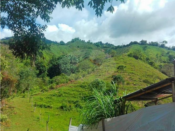 Casa de 4 alcobas en venta en La Esperanza, Ibagué, 250 m² · foto 17 de 24
