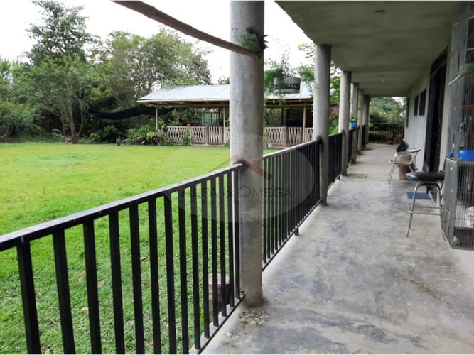 Casa de 4 alcobas en venta en La Esperanza, Ibagué, 250 m² · foto 19 de 24