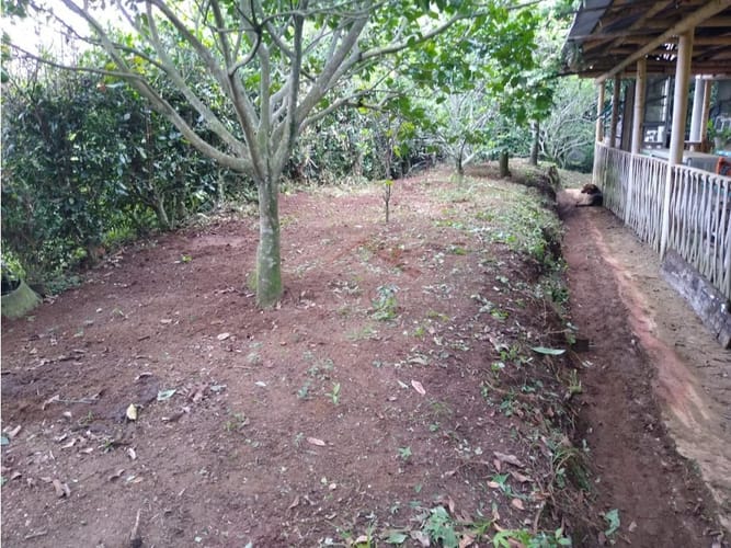 Casa de 4 alcobas en venta en La Esperanza, Ibagué, 250 m² · foto 24 de 24