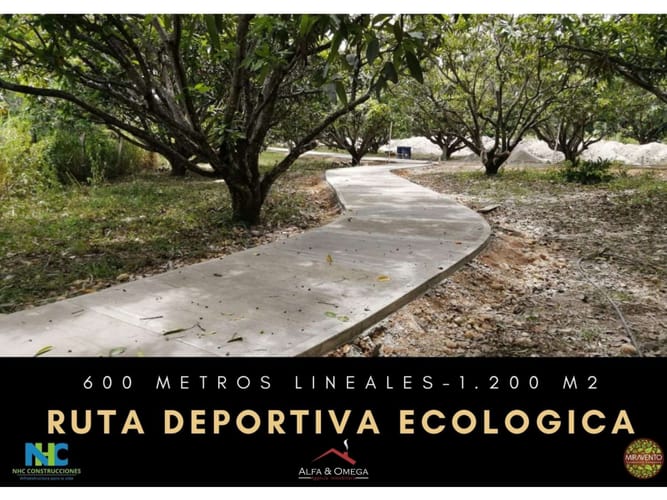 Lote en venta en Chaguala Afuera, Ibagué, 200 m² · foto 7 de 16