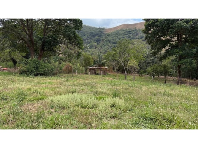 Lote en venta en El Totumo, Ibagué, 300 m² · foto 2 de 11