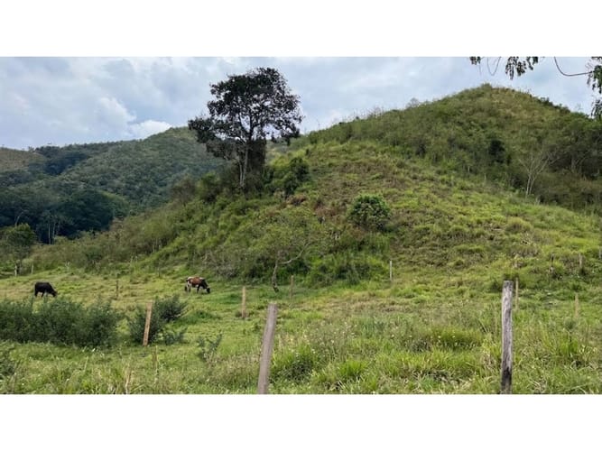 Lote en venta en El Totumo, Ibagué, 300 m² · foto 3 de 11