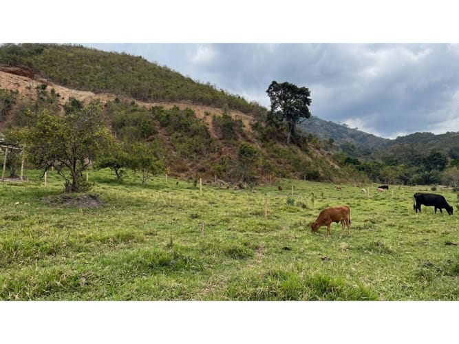 Lote en venta en El Totumo, Ibagué, 300 m² · foto 4 de 11