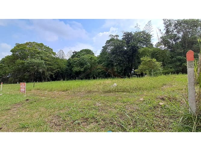 Lote en venta en La Pola, Ibagué, 376 m² · foto 3 de 10