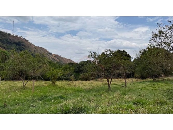 Lote en venta en El Totumo, Ibagué, 300 m² · foto 5 de 11