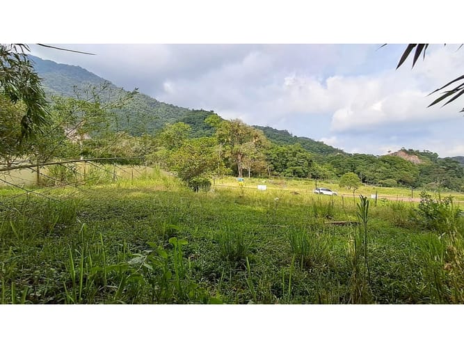 Lote en venta en La Pola, Ibagué, 376 m² · foto 4 de 10