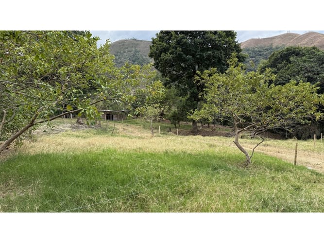 Lote en venta en El Totumo, Ibagué, 300 m² · foto 6 de 11