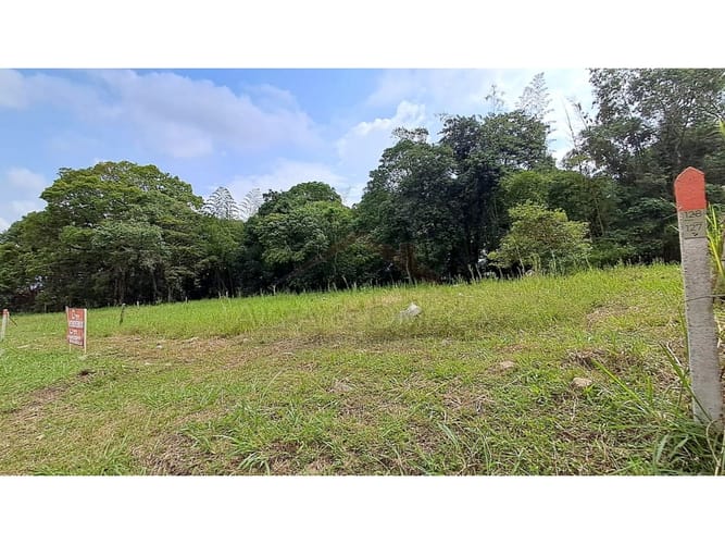 Lote en venta en La Pola, Ibagué, 376 m² · foto 5 de 10