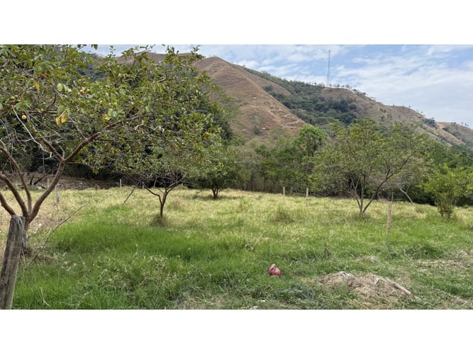 Lote en venta en El Totumo, Ibagué, 300 m² · foto 7 de 11