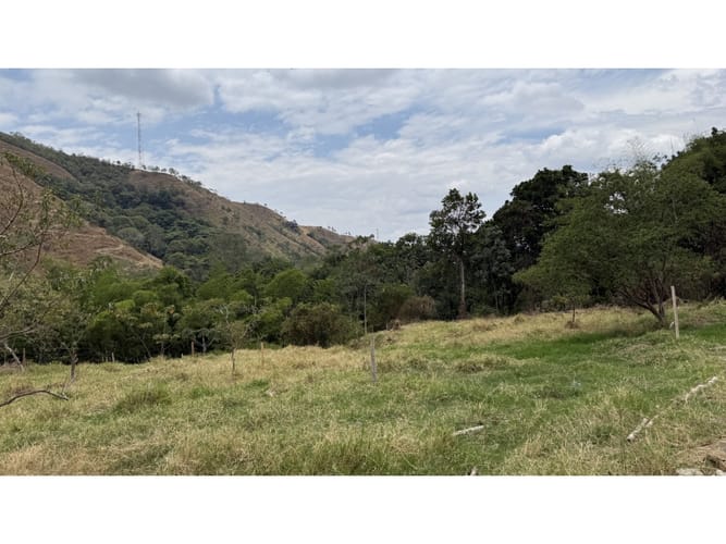 Lote en venta en El Totumo, Ibagué, 300 m² · foto 8 de 11