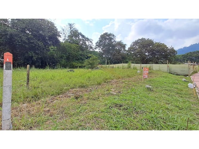 Lote en venta en La Pola, Ibagué, 376 m² · foto 7 de 10