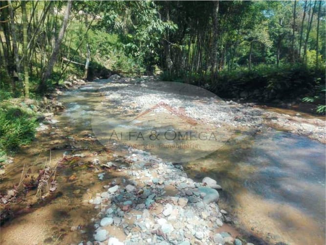Lote en venta en El Totumo, Ibagué, 300 m² · foto 9 de 11