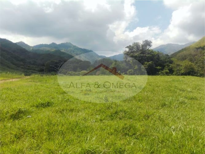 Lote en venta en El Totumo, Ibagué, 300 m² · foto 10 de 11